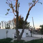 Quinta Das Amoreiras