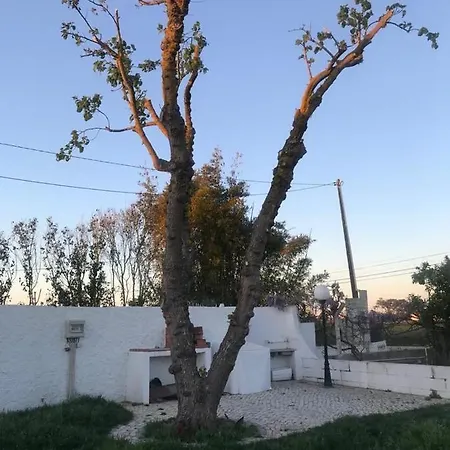 Quinta Das Amoreiras