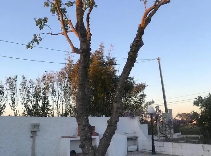 Quinta Das Amoreiras