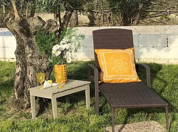 Villa Quinta Das Amoreiras Loja de Vendas